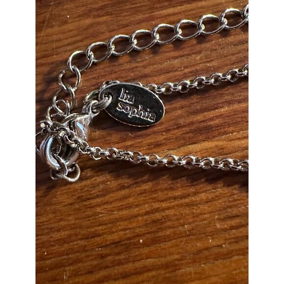 Lia Sophia Silver Tone Long Necklace - Picture 6 of 6